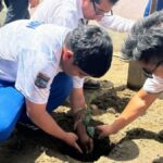 alumnos-sembrando-plantas
