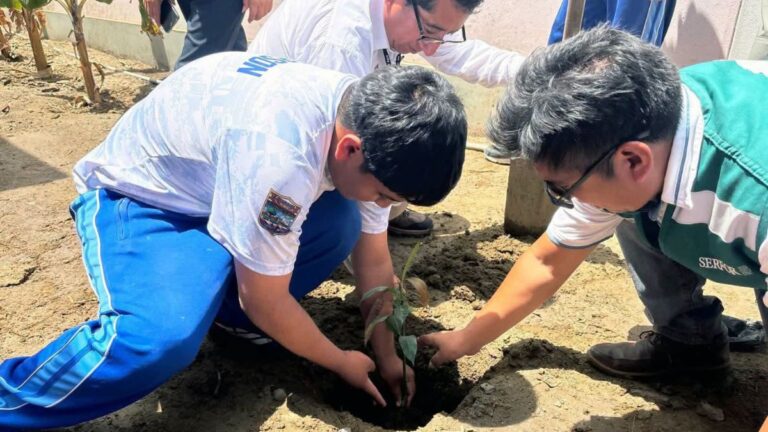 alumnos-sembrando-plantas