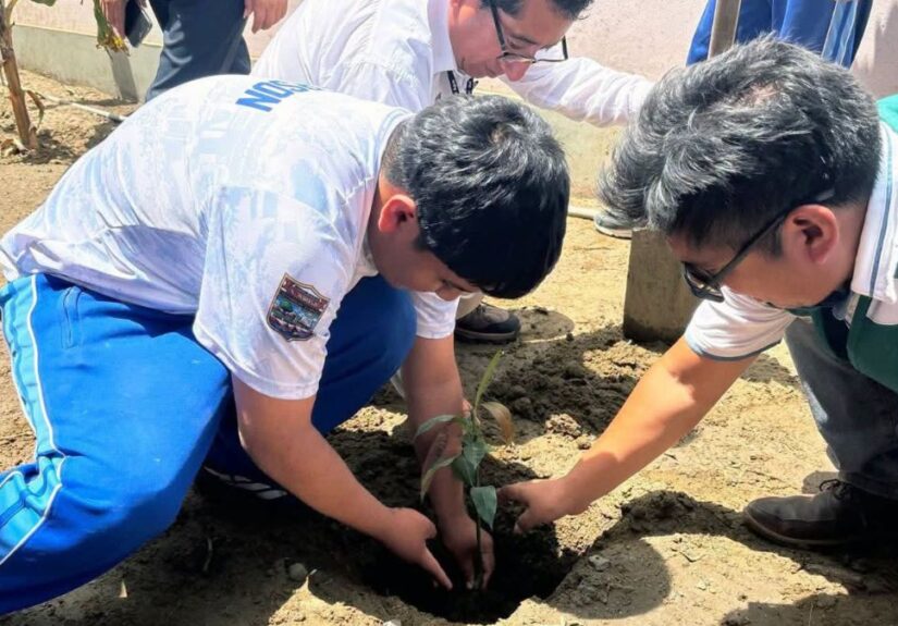 alumnos-sembrando-plantas